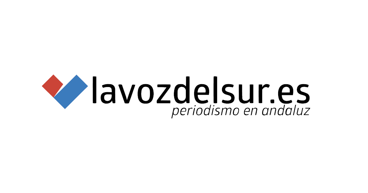 logo la voz del sur